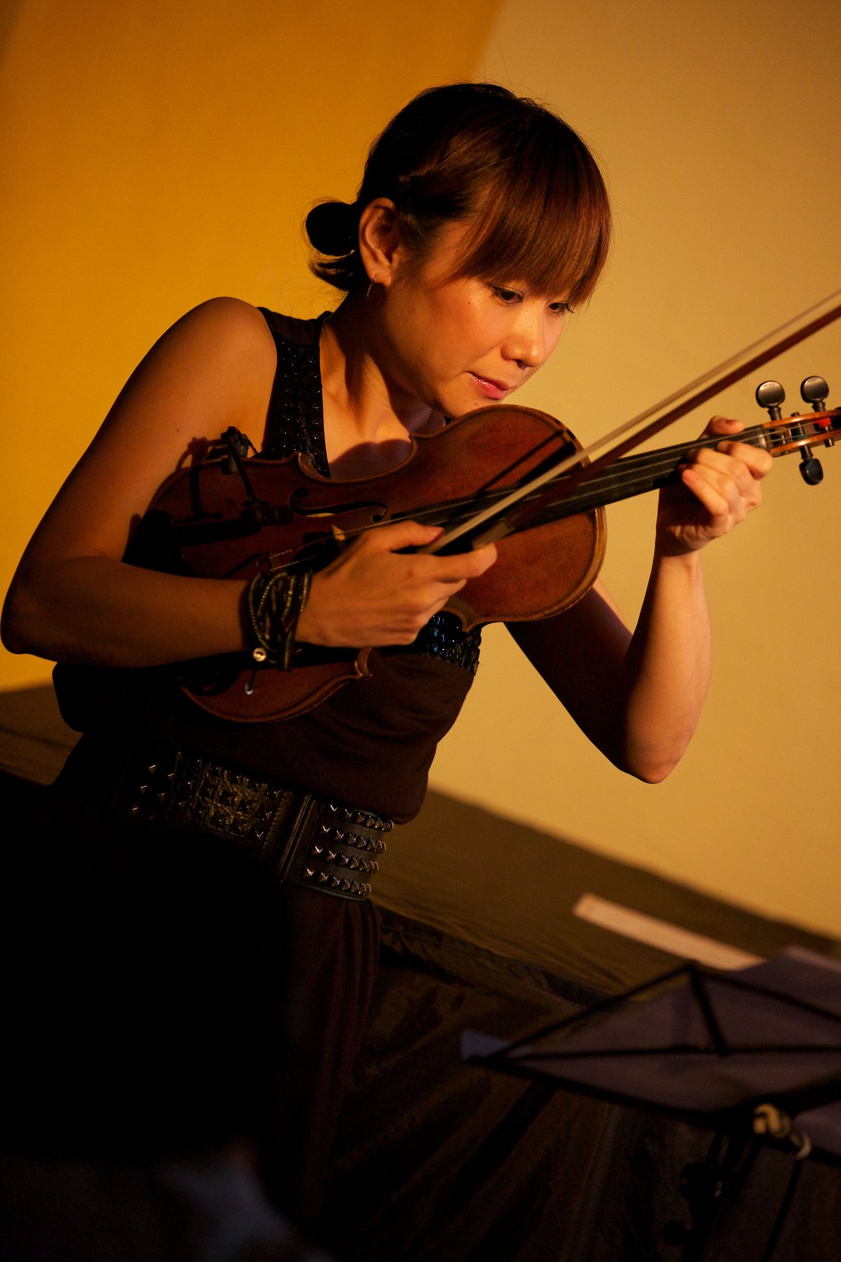 Mayumi Tanaka Sings American Popular Songs（Audi