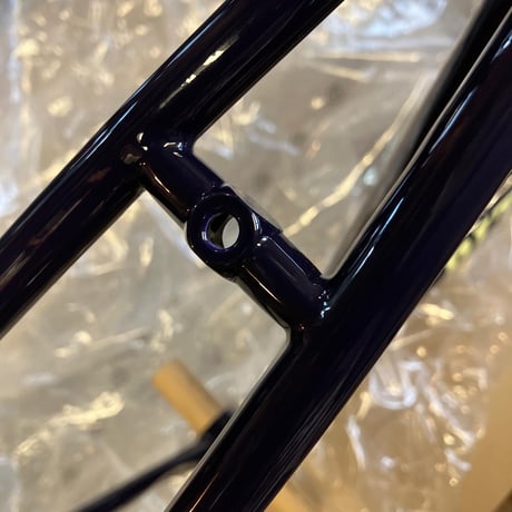 RITCHEY GARDEN CITY STEEL TRACK BIKE