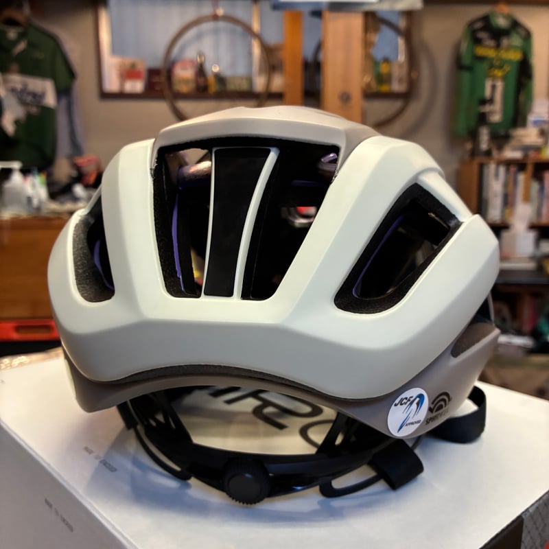 GIRO ARIES SPHERICAL MIPS Asian Fit | ANDBICYCLE
