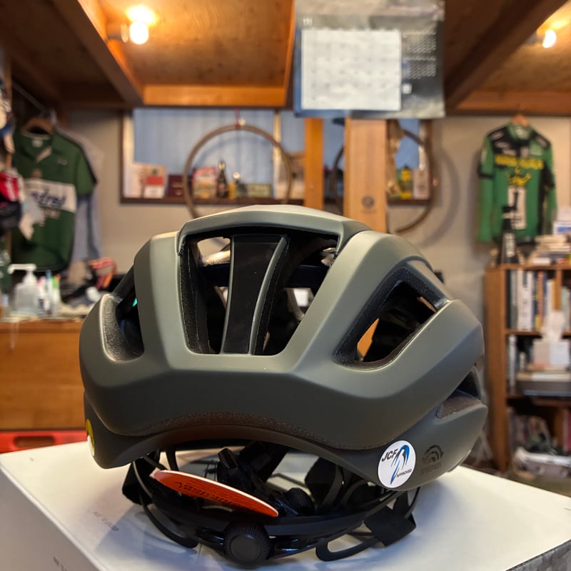 GIRO ARIES SPHERICAL MIPS Asian Fit | ANDBICYCLE