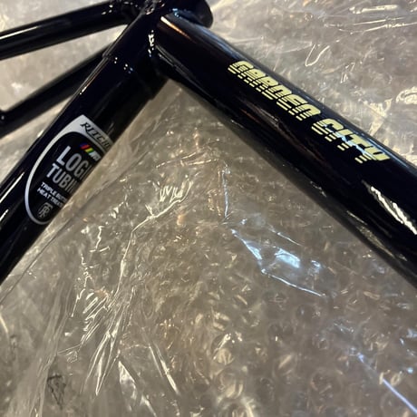RITCHEY GARDEN CITY STEEL TRACK BIKE