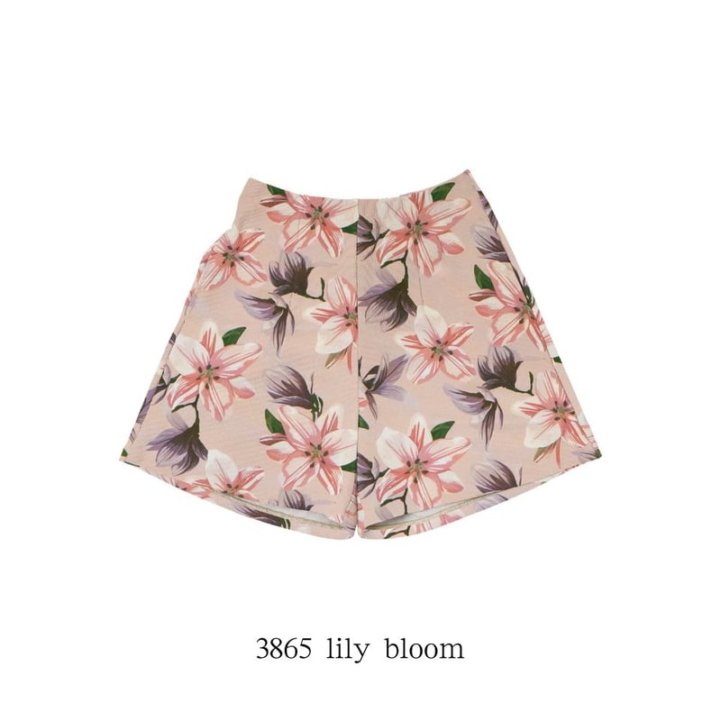 新品❤️v12❤️ショートパンツ 25SS/NEW スポーツショートパンツ 【41W11-52S】MAKA-HOU / Spor