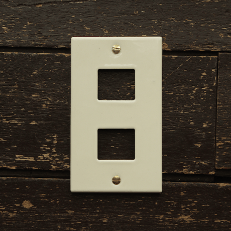 Switch plate 2口