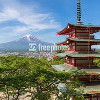 新緑 新倉山浅間公園 富士山［富士吉田市］