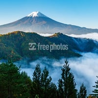 青綠富士山 富士山と芝桜 〜日本の花旅 富士本栖湖リゾート〜PXW-Z150 - YouTube