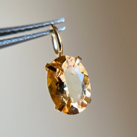 スキャポライト | STORES