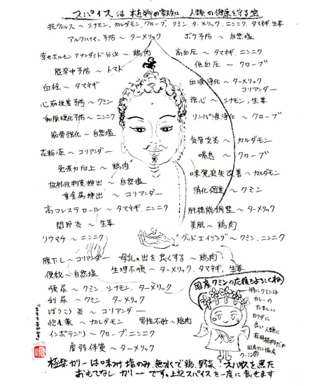 真空冷凍チキンカリー(2人前入り320g )