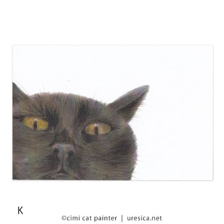 Čimi Cat Painter  ポストカード１