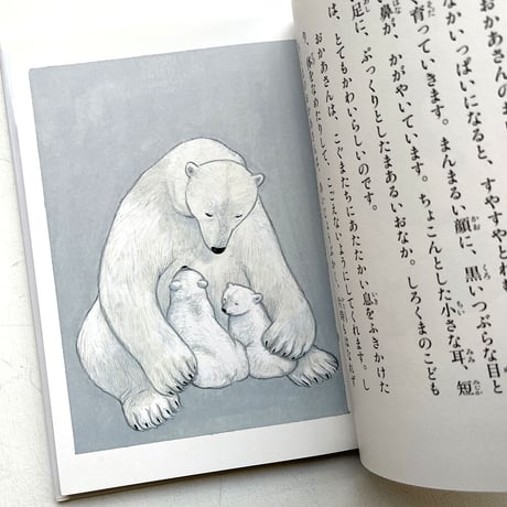 『ちびしろくまのねがいごと』庄野ナホコ 絵