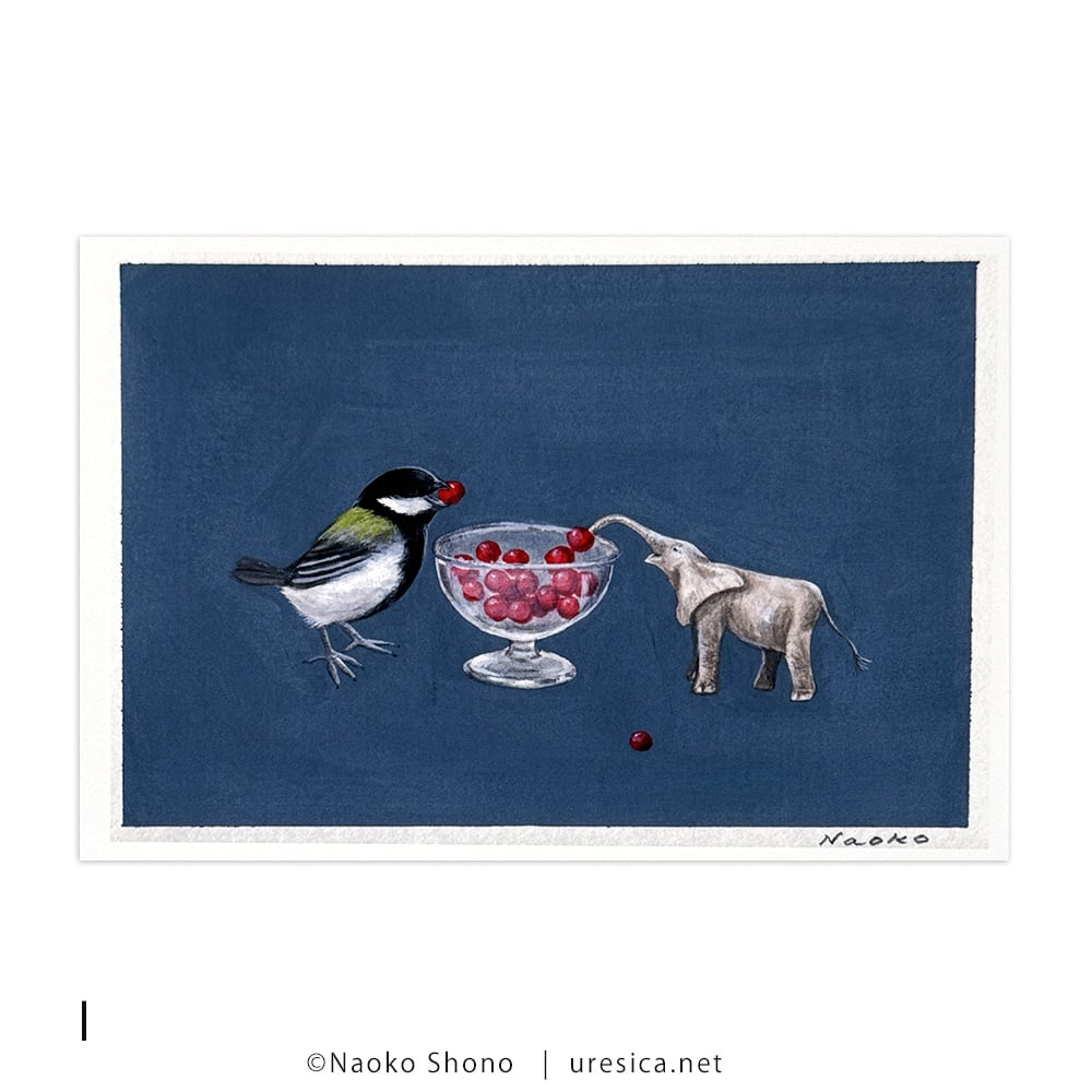 庄野ナホコ「Books & Birds」展 原画 美品 庄野ナホコ作品集 Circus of Wonders（サイン、特典付） - books