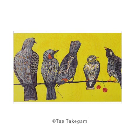 能登半島大震災チャリティ絵葉書5枚組「鳥組」