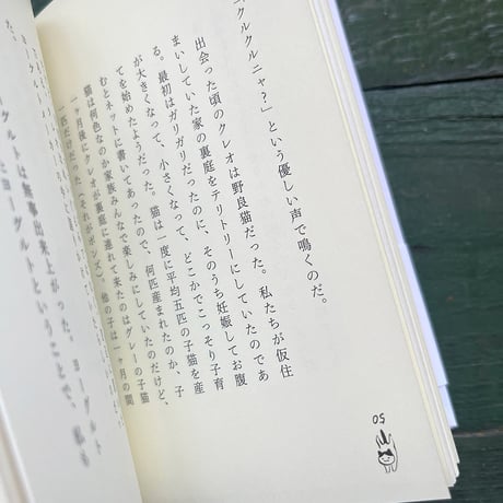 『一年前の猫』近藤聡乃