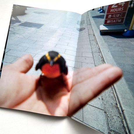 『アイム　Snapshots taken by homeless people.』