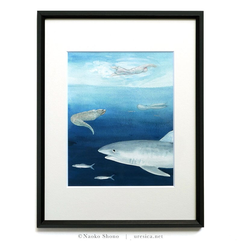 ホオジロザメ アクリル画 原画 909 ホオジロザメ High Res