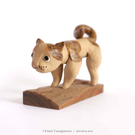 柳本史　猫４