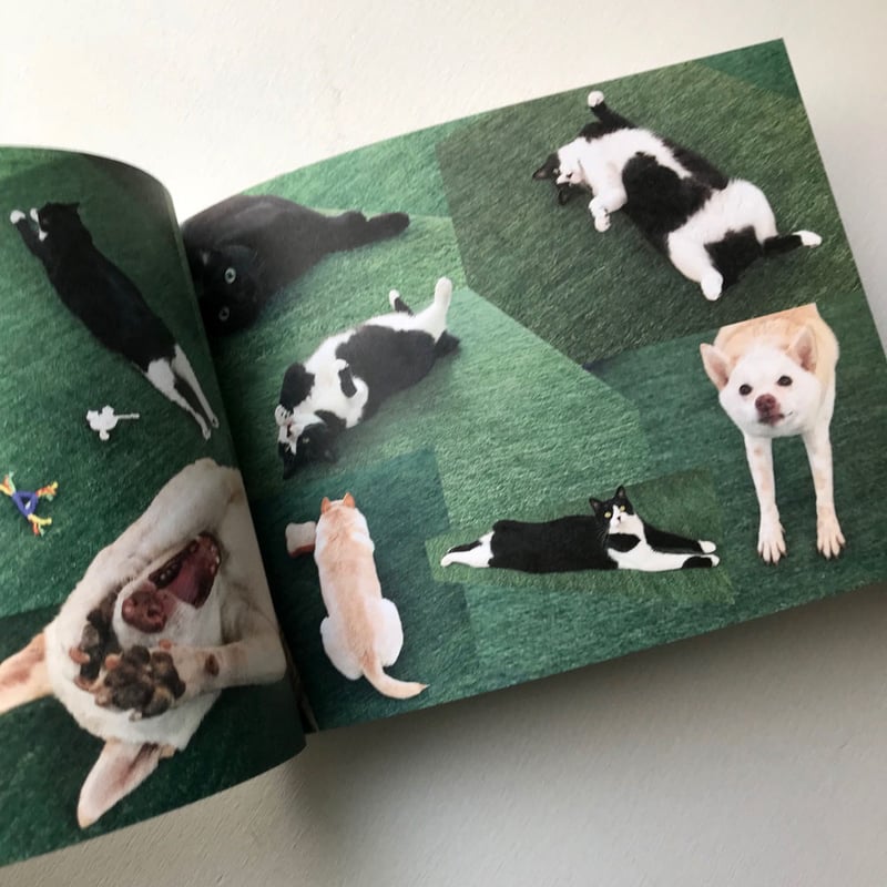 桑原奈津子『いっぴきとにひき』 | URESICA