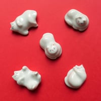 sen／猫のはしおき（白）