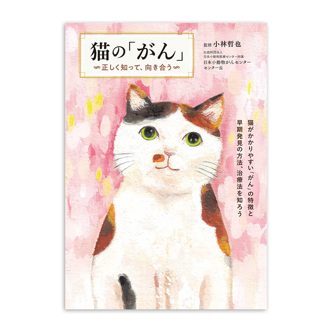 猫の腫瘍　初版 猫の腫瘍 初版 猫の腫瘍初版