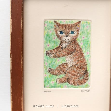 くまあやこ「ねこ」