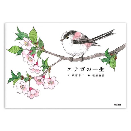 『エナガの一生』
