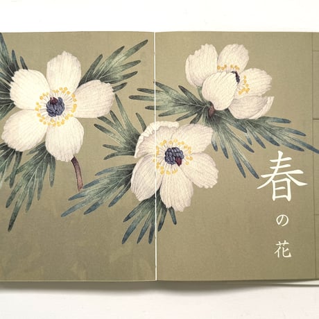 『野山花花図譜』梨木香歩・波多野光