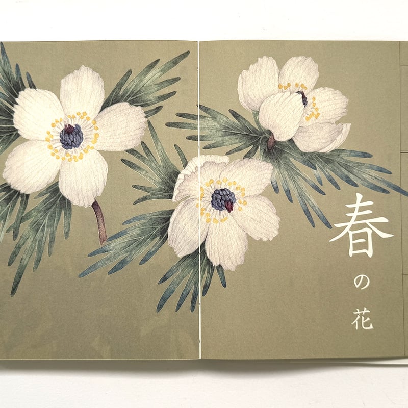 野山花花図譜』梨木香歩・波多野光 | URESICA