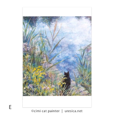 Čimi Cat Painter  ポストカード１