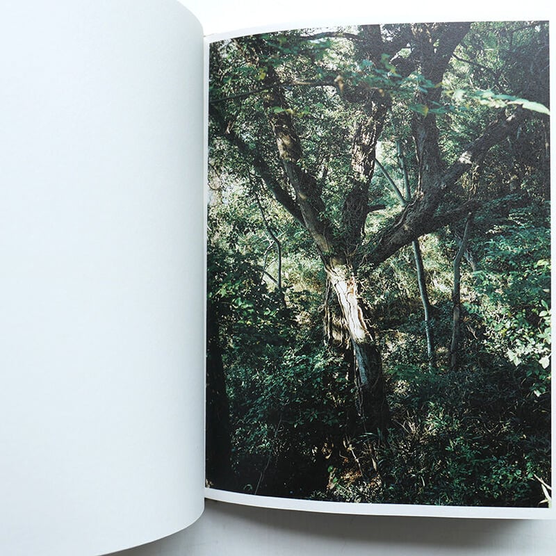 海野経画集　大型本 Amazon.co.jp: 新潮日本古典集成〈新装版〉 太平記 一 (新潮日本