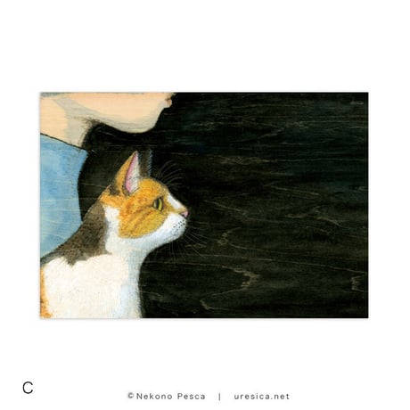 猫野ぺすか「11月の猫」ポストカード