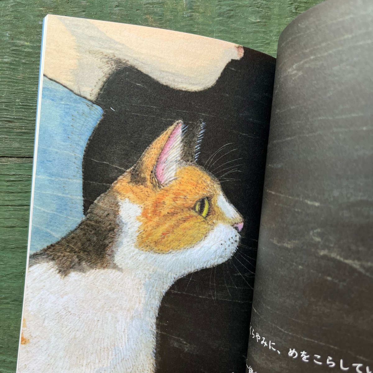 ねこページ 11月の猫』猫野ぺすか☆サイン本 | URESICA