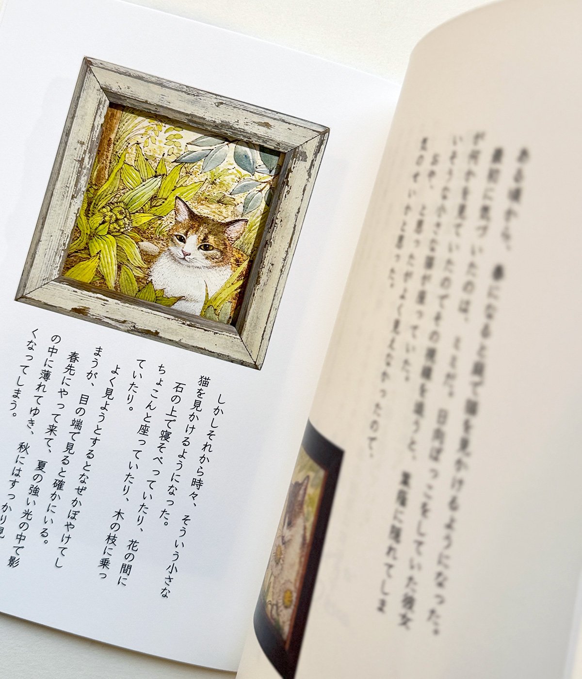 夜猫ホテル(初版本) サイン入り 夜猫ホテル 【 サイン本 】初版本 - メルカリ