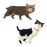『なまえのないねこ』 型抜きカード