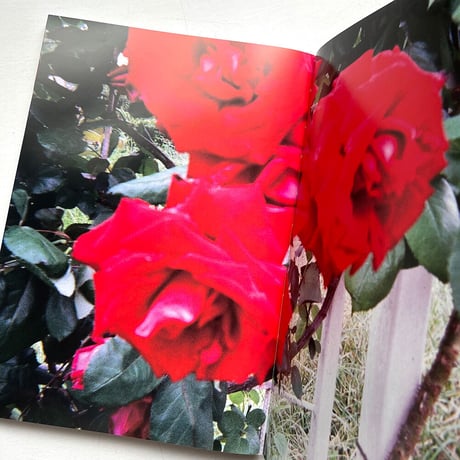 『アイム　Snapshots taken by homeless people.』