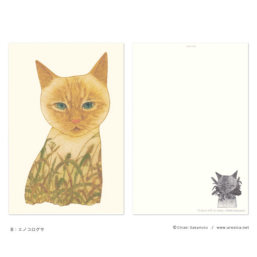 坂本千明さん　猫　紙版画 坂本千明 ポストカード（猫） | URESICA
