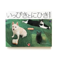 桑原奈津子『いっぴきとにひき』