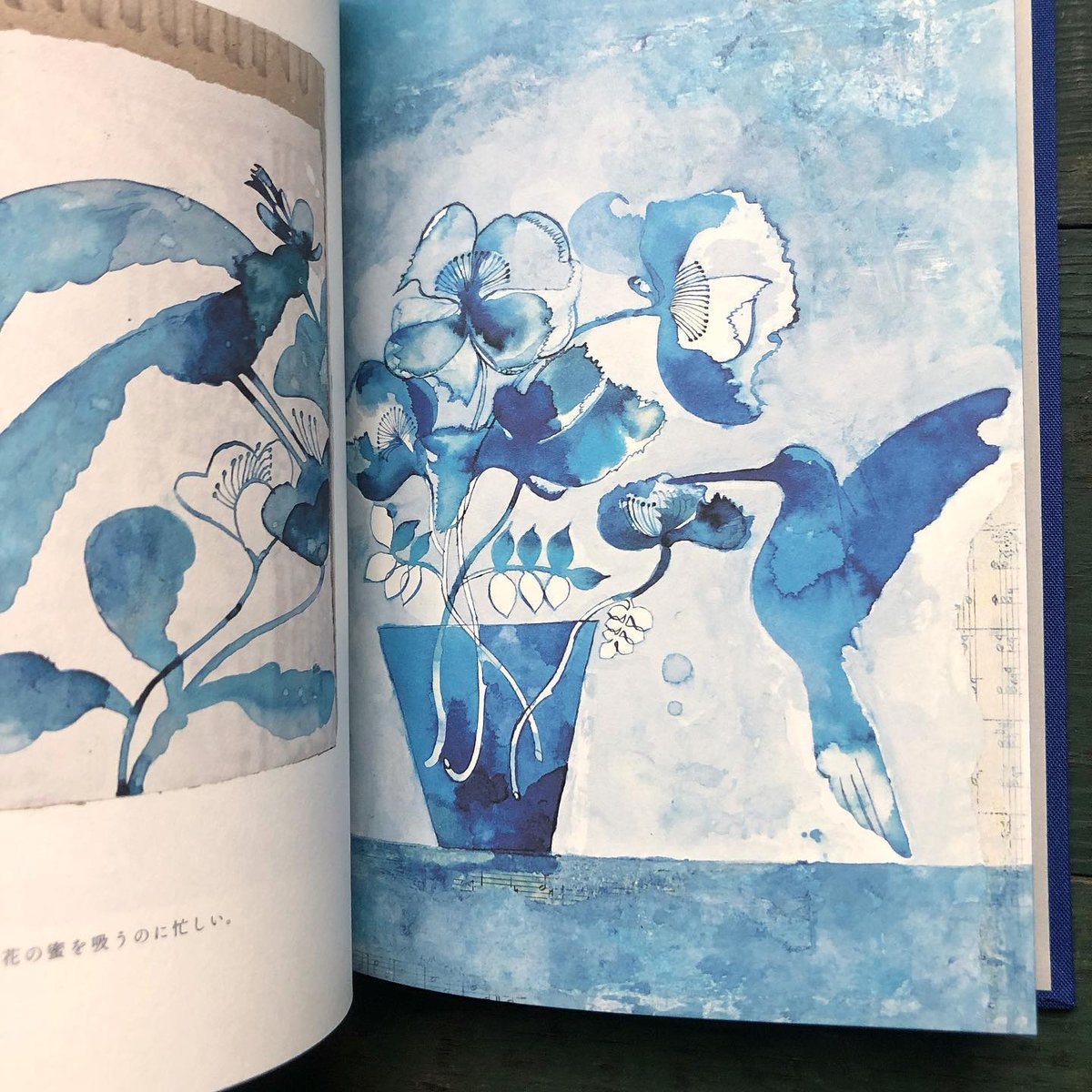 fit=scale-down,w=1200