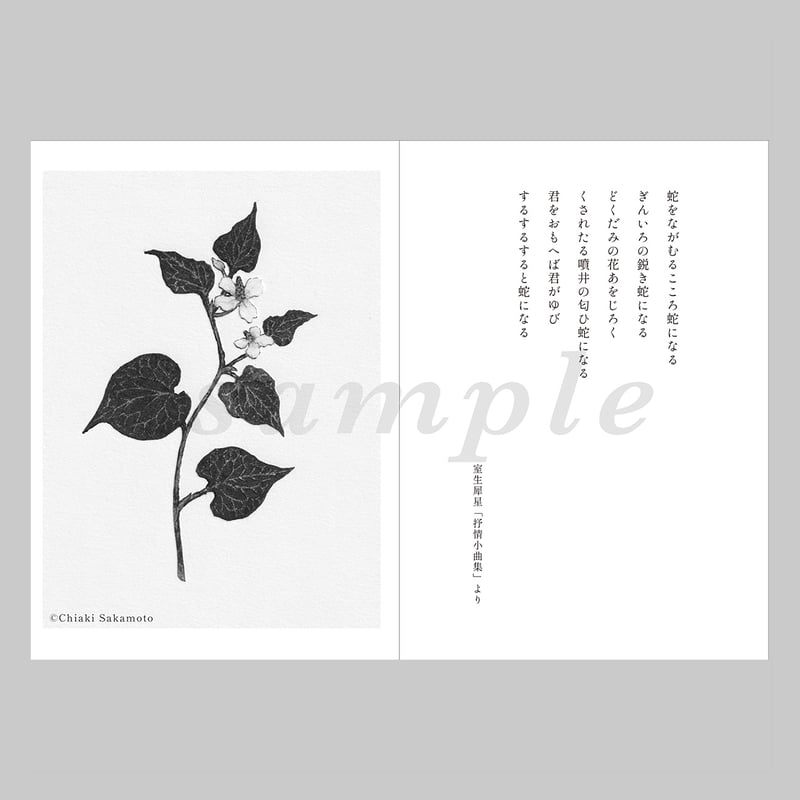 4/18（土）坂本千明WS：紙版画で描く挿絵「詩」 | URESICA