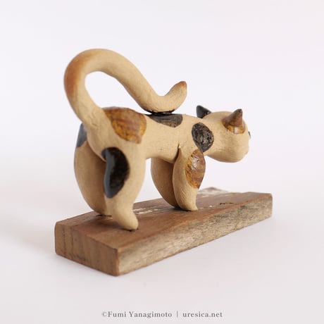 柳本史　猫５