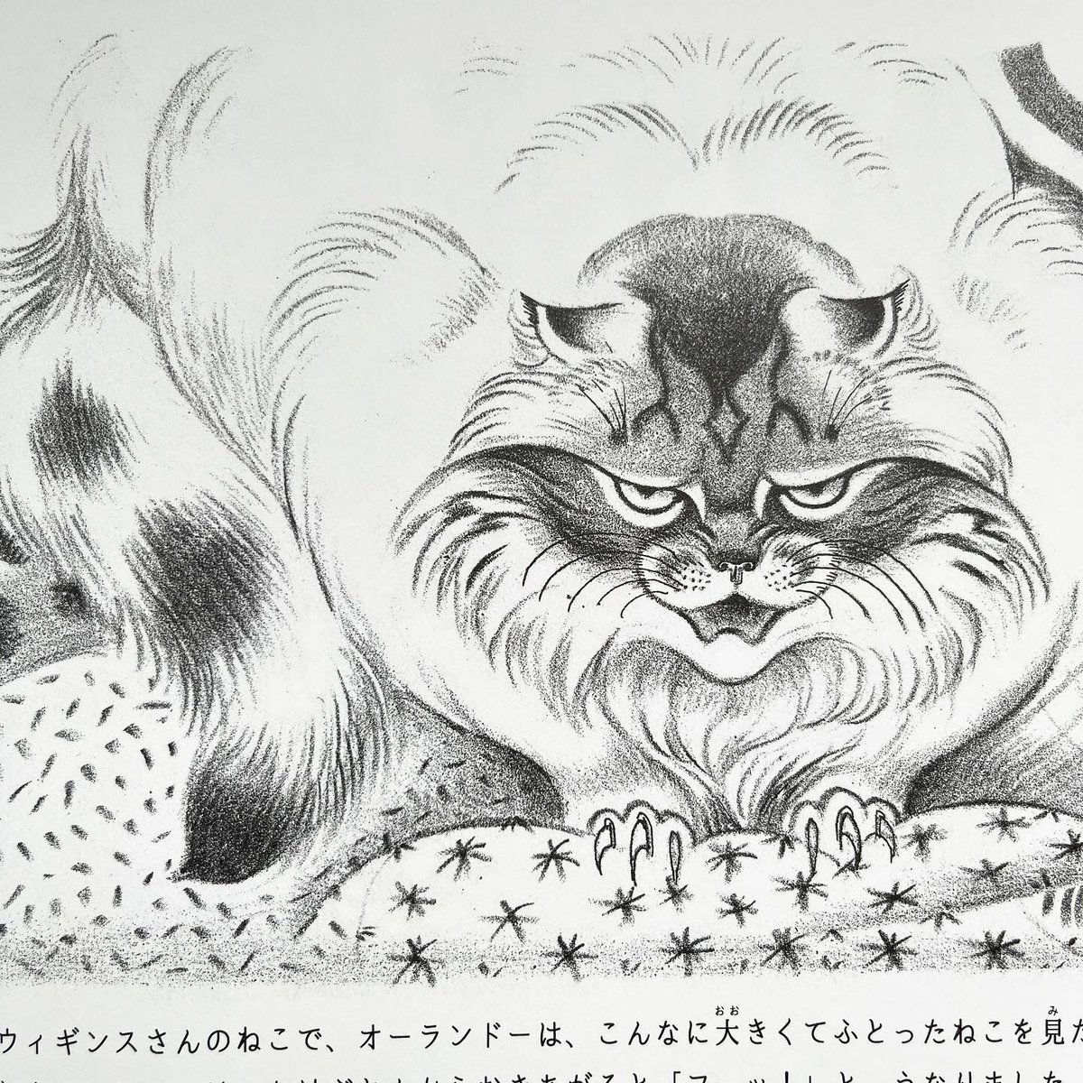 猫のオルゴナイト 訳ありの為ご理解の上ご検討ください。