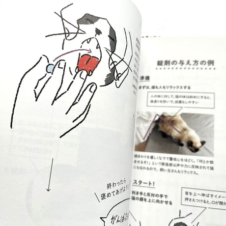 『猫の介護ハンドブック』