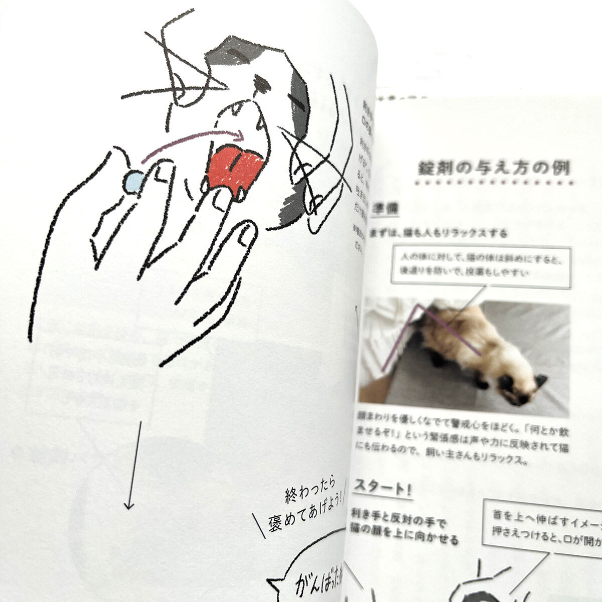 猫の介護ハンドブック』 | URESICA