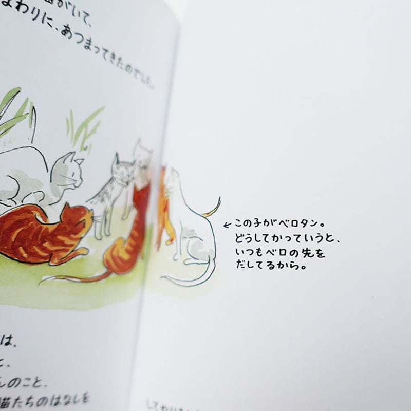 サヤカノスタジオシー　クリアファイル サヤカノスタジオシー クリアファイル SHOWROOM(ショールーム