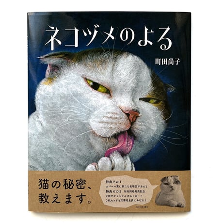 『ネコヅメのよる』 町田尚子