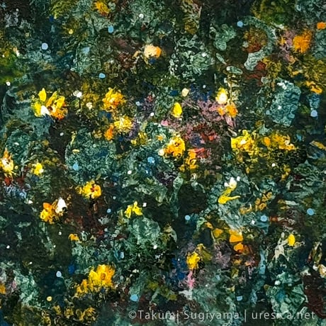 杉山巧「Flowers <night blue>」