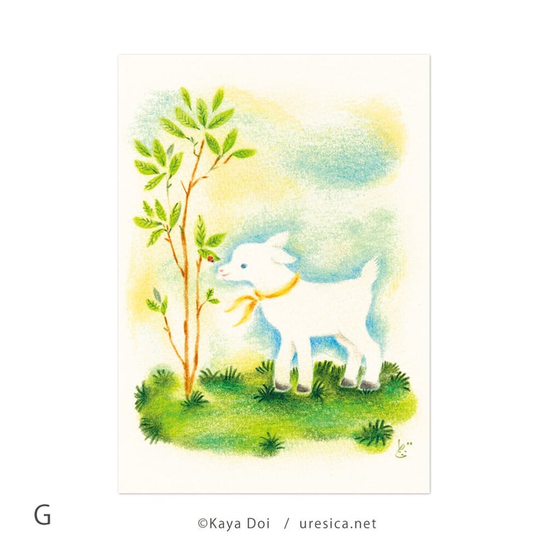 どいかや 動物ポストカード | URESICA