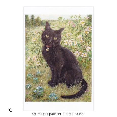 Čimi Cat Painter  ポストカード１