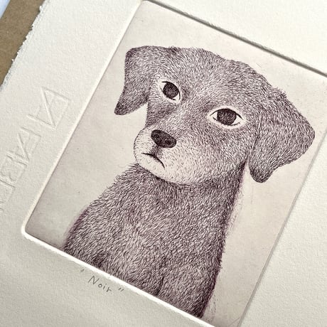 くまあやこ「Noir」シート
