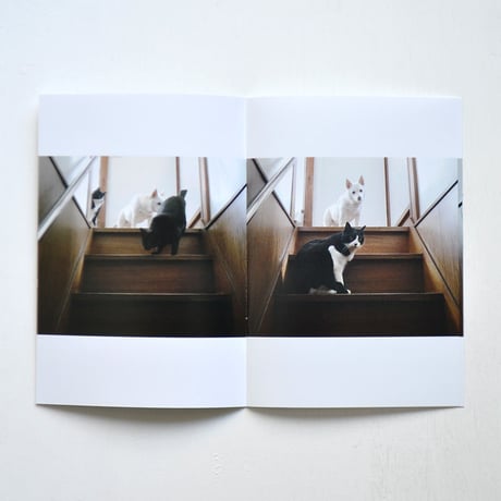 桑原奈津子『STAIRSGRAM』