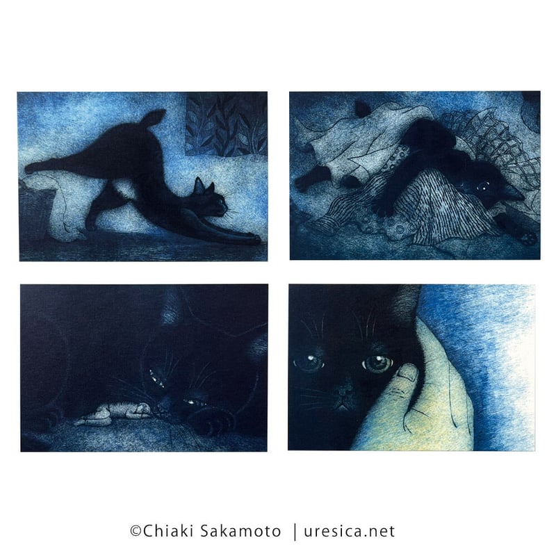 坂本千明「ねこのねえ」ポストカード | URESICA