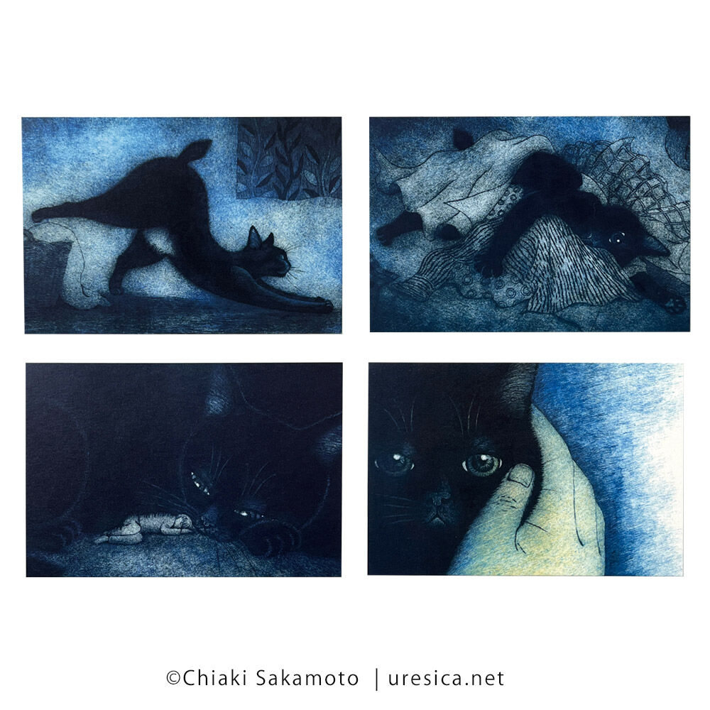 坂本千明「ねこのねえ」ポストカード | URESICA